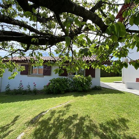Calicho Bed and Breakfast Urrugne Eksteriør billede